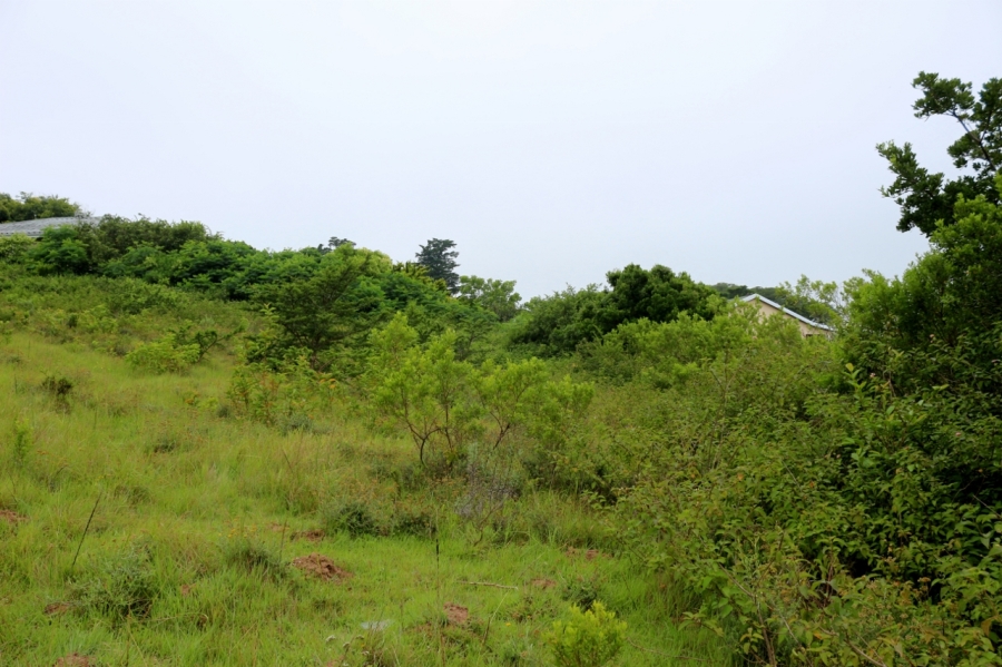 0 Bedroom Property for Sale in Bathurst Eastern Cape